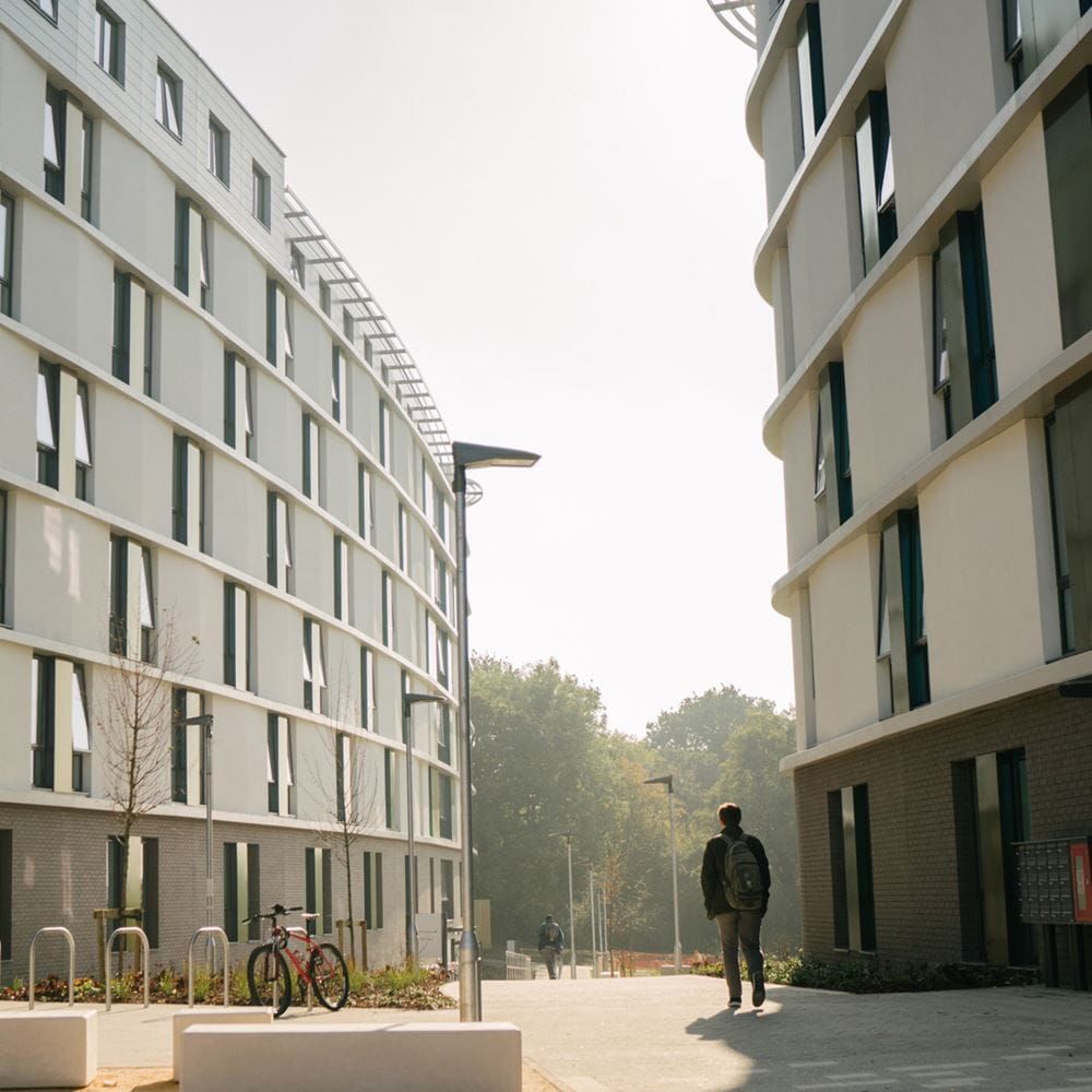 The Copse accommodation