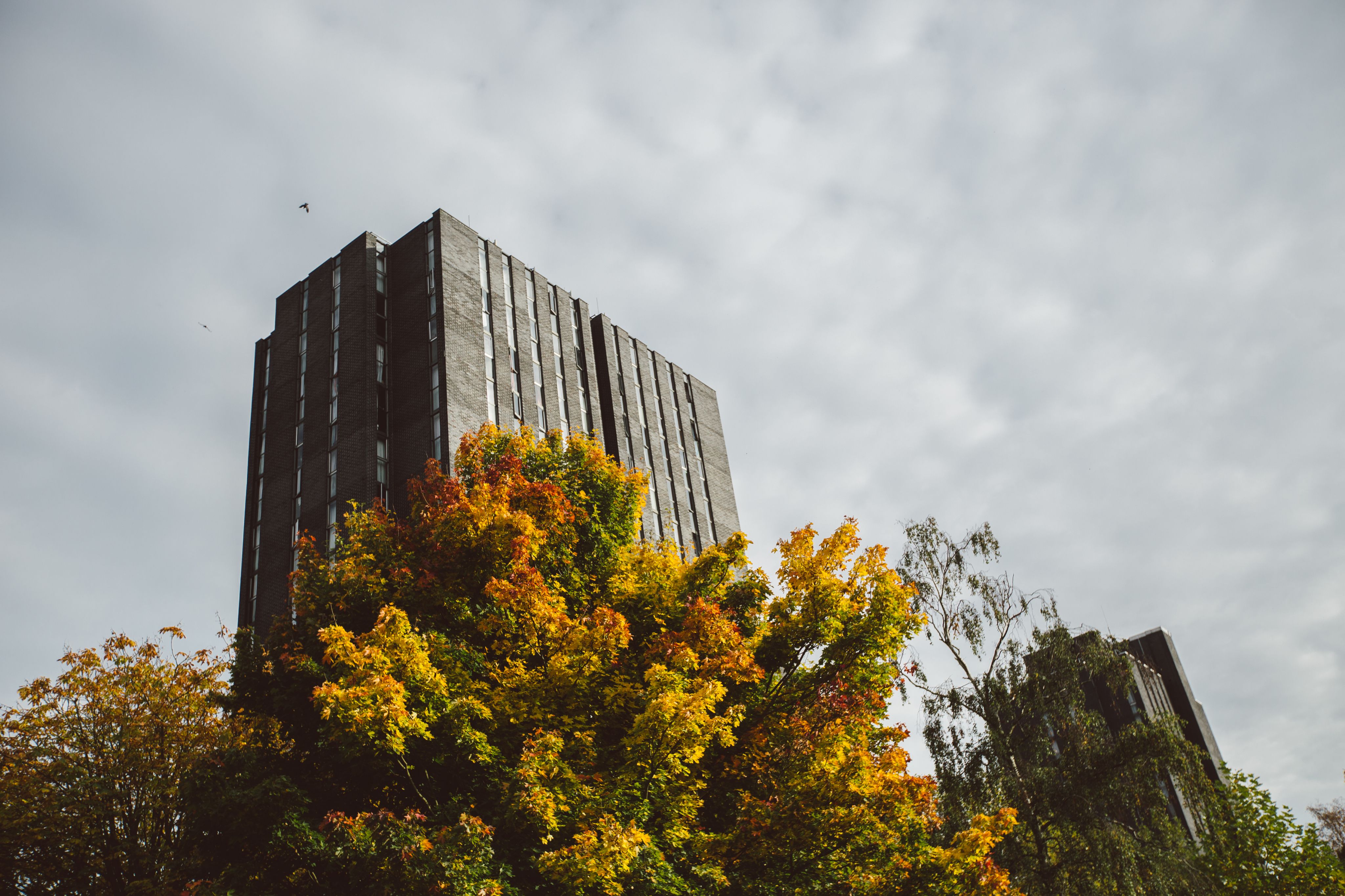 Towers accommodation