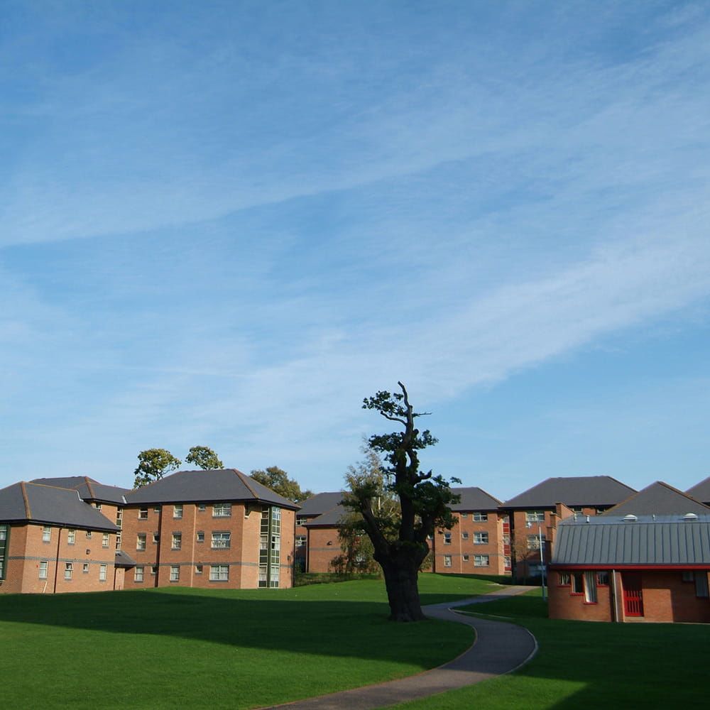 The houses accommodation