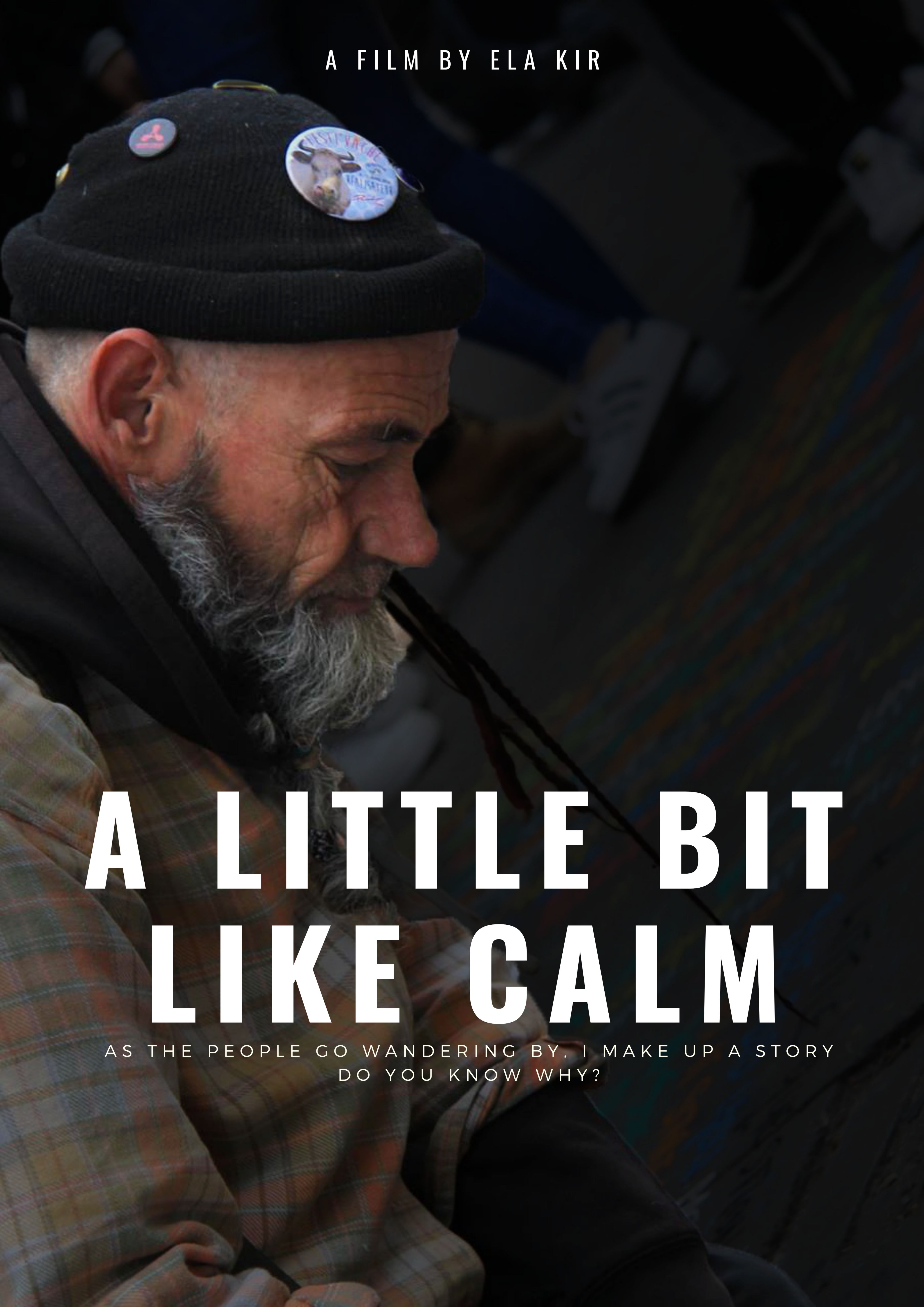 a black background with a side profile of a man's head and shoulers, he is looking down and looking deep in though. "A Little Bit Like Calm" is written in white over the top