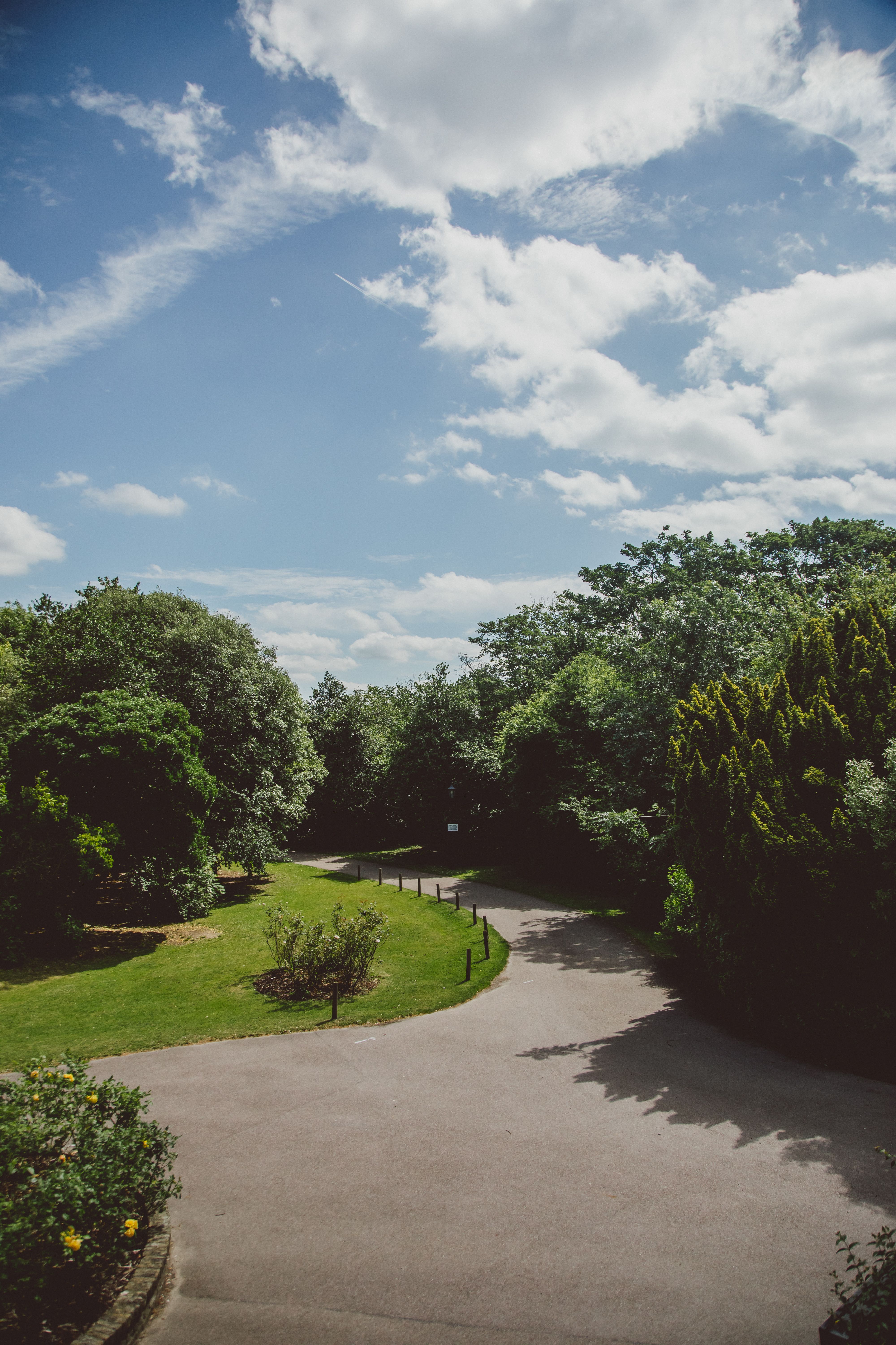 Tree lined street